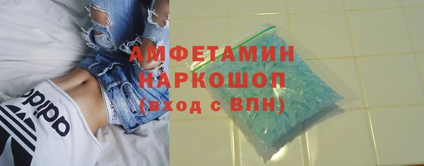 индика Армянск