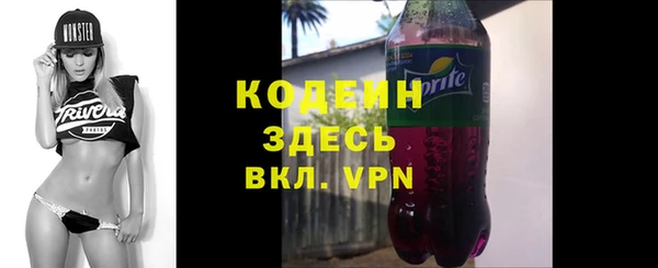 соль ск Арсеньев