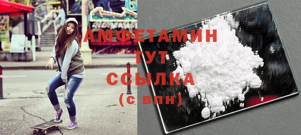 индика Армянск