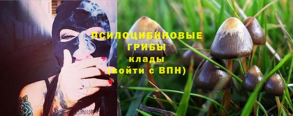 соль ск Арсеньев