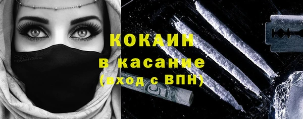 индика Армянск