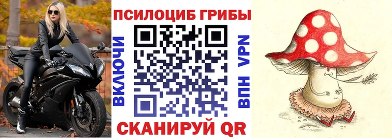 Псилоцибиновые грибы Cubensis  купить наркоту  Мичуринск 